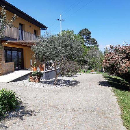 Quinta Do Senhor Villa Брага Екстериор снимка