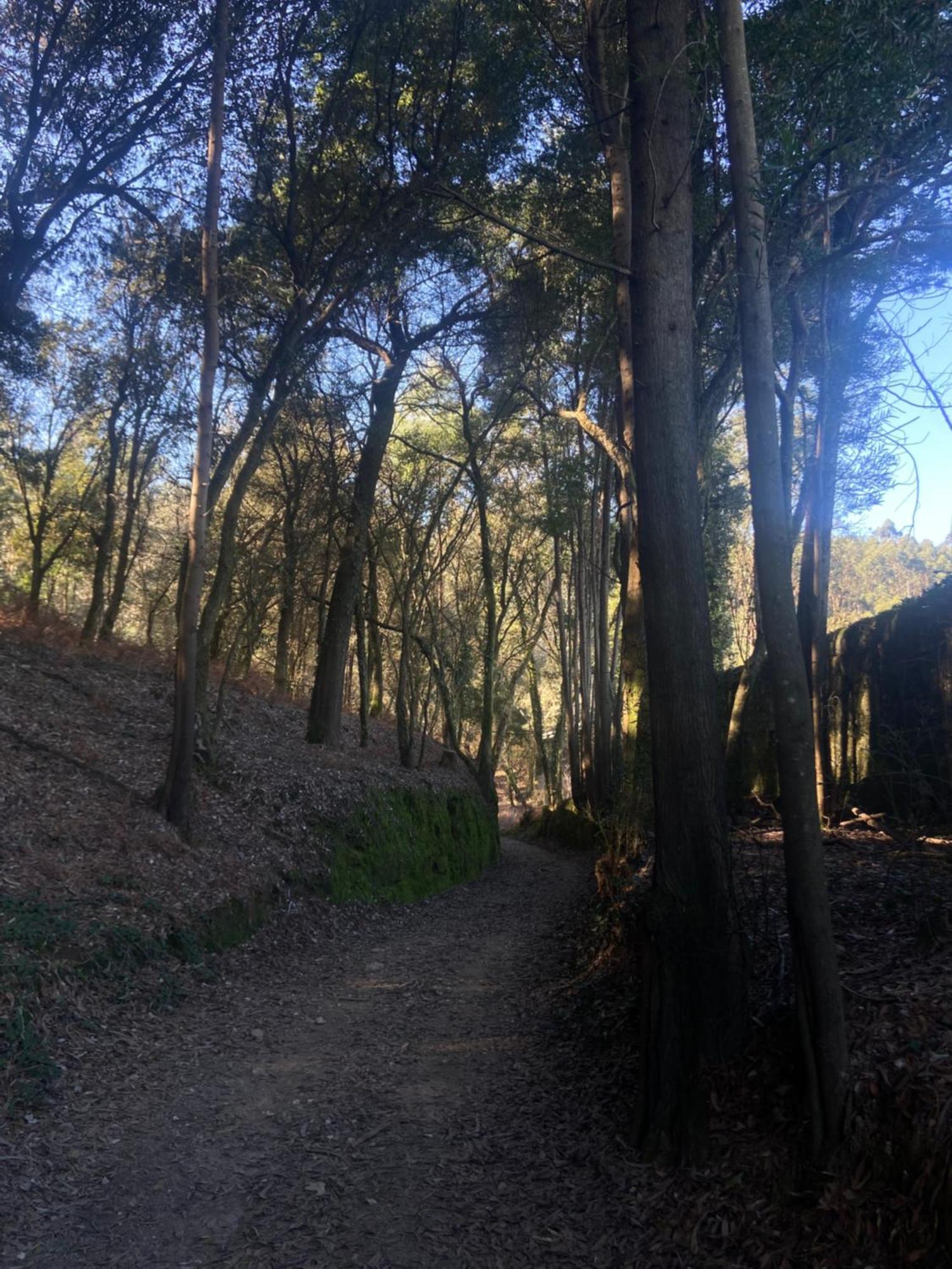 Quinta Do Senhor Villa Брага Екстериор снимка
